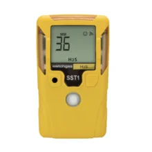 SST1